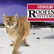Photo #10: CONKLIN ROOFING 