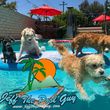 Photo #1: NORCO & NORCO HILLS POOL & SPA SERVICE
