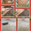Photo #13: Professional Carpet Cleaning - Pressure Washing - Carpet Repairs