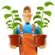Photo #8: WEEDING, Planting, YARD WORK, Trimming, LANDSCAPING, Gardening + More!