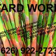 Photo #2: WEEDING, Planting, YARD WORK, Trimming, LANDSCAPING, Gardening + More!