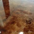 Photo #3: **Concrete Stain/Concrete polish**