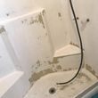 Photo #1: QUALITY SHOWER AND BATHTUB REFINISHING - Fix up that ugly tub!!