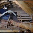 Photo #9: Specialized in Attic and Wall Insulation/ Removal