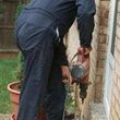 Photo #1: Best termite solutions, Termite exterminator free estimates, wood repa