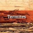 Photo #2: Quality Termite and Pest Control Services At A Fraction Of The Price