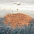 Photo #6: Quality Termite and Pest Control Services At A Fraction Of The Price