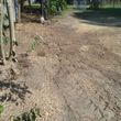 Photo #4: STUMP GRINDING  ***ALL AREAS****INSURED, LOW RATES