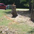 Photo #5: STUMP GRINDING  ***ALL AREAS****INSURED, LOW RATES