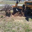 Photo #9: STUMP GRINDING  ***ALL AREAS****INSURED, LOW RATES