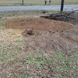 Photo #10: STUMP GRINDING  ***ALL AREAS****INSURED, LOW RATES
