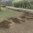 Photo #12: STUMP GRINDING  ***ALL AREAS****INSURED, LOW RATES