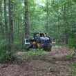 Photo #1: Land Clearing / Forestry Mulching
