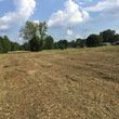 Photo #5: Land Clearing / Forestry Mulching