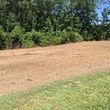 Photo #6: Land Clearing / Forestry Mulching