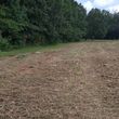Photo #8: Land Clearing / Forestry Mulching