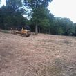 Photo #5: Land Clearing-Forestry Mulching-Extreme Bush-hogging