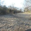 Photo #13: Land Clearing-Forestry Mulching-Extreme Bush-hogging