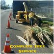 Photo #9: Landscape and Tree services