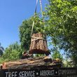 Photo #11: Tree service Family owned ~ Arborist ~Stump grinding  ~24 hour emergency tree se