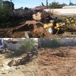 Photo #1: Advance Tree Service    Stump Grind and Removal