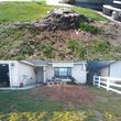 Photo #2: Advance Tree Service    Stump Grind and Removal