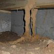 Photo #7: Wholesale Termite Control, Pest Control & Fumigation Services