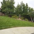 Photo #1: Lawn care & Landscaping services