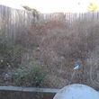 Photo #7: 🏡 Tree Trimming - Yard Cleanups - Landscaping - Gardening 🏡