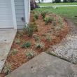 Photo #13: 🏡 Tree Trimming - Yard Cleanups - Landscaping - Gardening 🏡