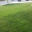 Photo #2: AFFORDABLE LAWN/GARDENING SERVICE (RIVERSIDE,CORONA,MOVAL)