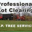 Photo #1: Tree Service, J.P. Licensed/Bonded/Insured