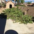 Photo #4: Martinez-landscaping-Demolition-Hauling-Clean/ups. and much more.