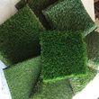 Photo #1: Artificial grass
