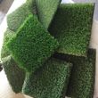 Photo #2: Artificial grass