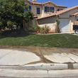 Photo #4: *** Sod Installed Top quality..& draught tolerant design ******