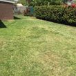 Photo #4: LAWN CARE AND TREE SERVICE