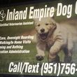 Photo #10: Certified Vet Assistant Offering Professional Pet Care!