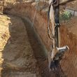 Photo #16: Backyard Specialist-bobcat/tractor/excavator/dumptruck