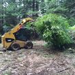Photo #7: Brush & Field Mowing, Property Cleanups & Hauling