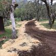 Photo #4: Land Clearing/Excavation/Tree Service (Humboldt, Trinity, Mendocino co