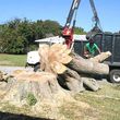 Photo #7: Land Clearing/Excavation/Tree Service (Humboldt, Trinity, Mendocino co
