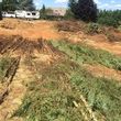 Photo #14: Land Clearing/Excavation/Tree Service (Humboldt, Trinity, Mendocino co