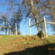 Photo #5: ( Fencing)All Fences Built 30yrs.exp.( Fencing)