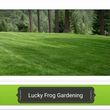Photo #2: Lucky Frog Gardening Services