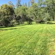Photo #3: Landscape & Labor Weed Eating Clearing Lawn Care Hauling Projects 100%