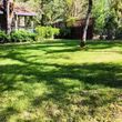 Photo #4: Landscape & Labor Weed Eating Clearing Lawn Care Hauling Projects 100%