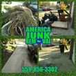 Photo #2: Junk/Trash/Garbage Removal service