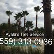 Photo #1: AYALAS TREE SERVICE (CENTRAL VALLEY)