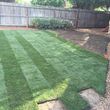 Photo #17: Precise  lawn care and tree/tilling services(affordable)